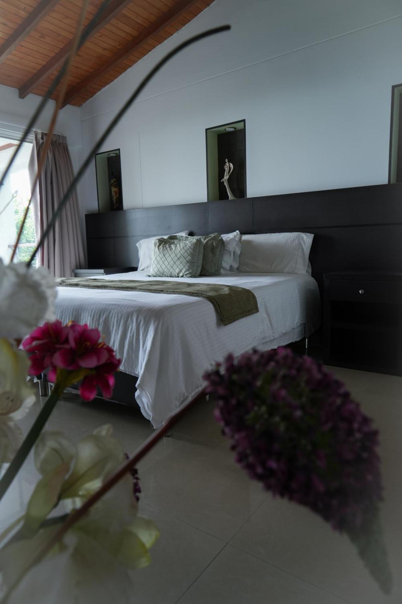 בוקארמנגה Serenity Suites Casa Boutique מראה חיצוני תמונה